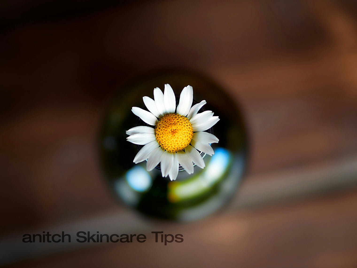 Is Chamomile Good for Eczema-Prone Skin?