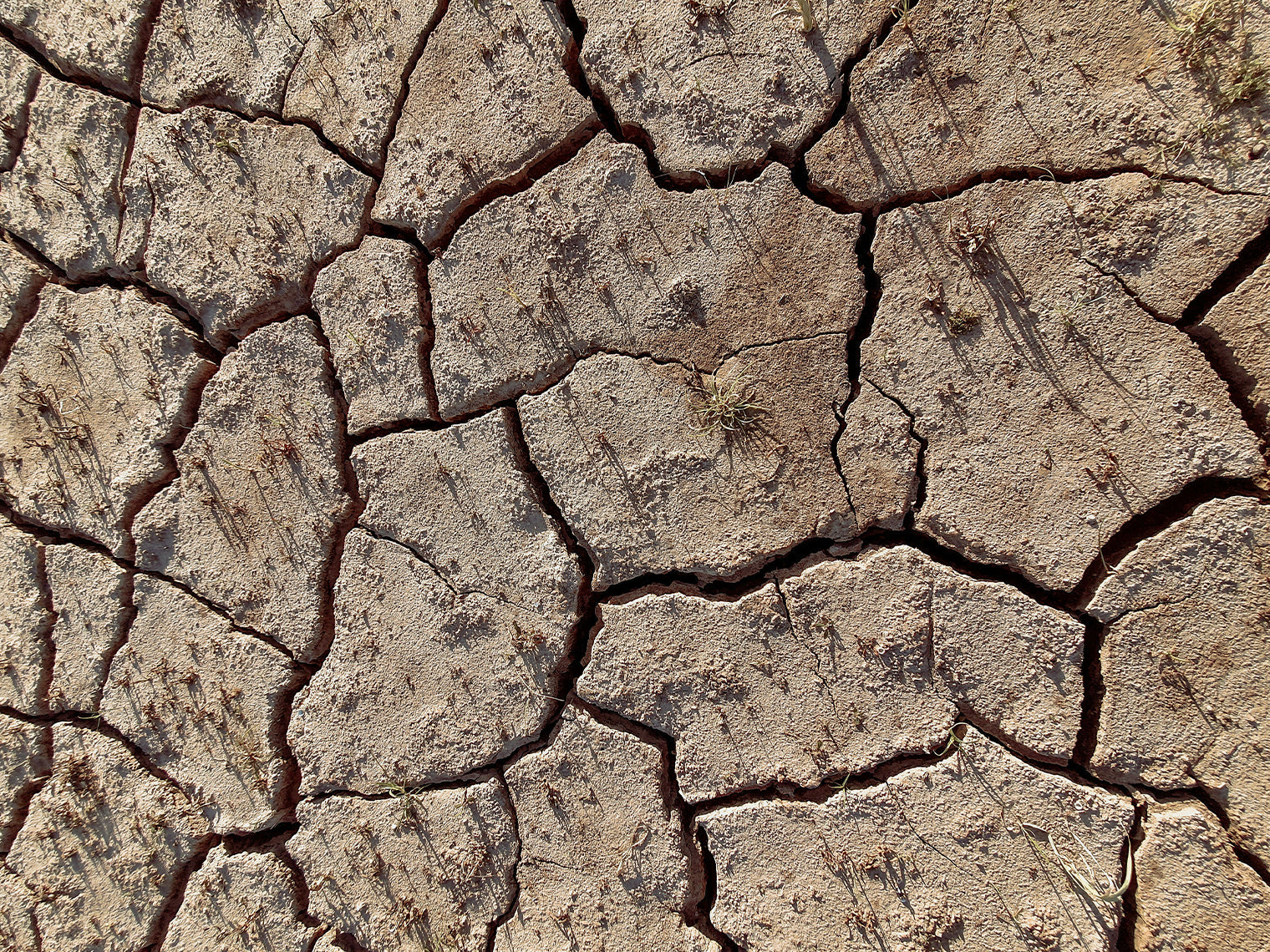 What Is a Damaged Skin Barrier?