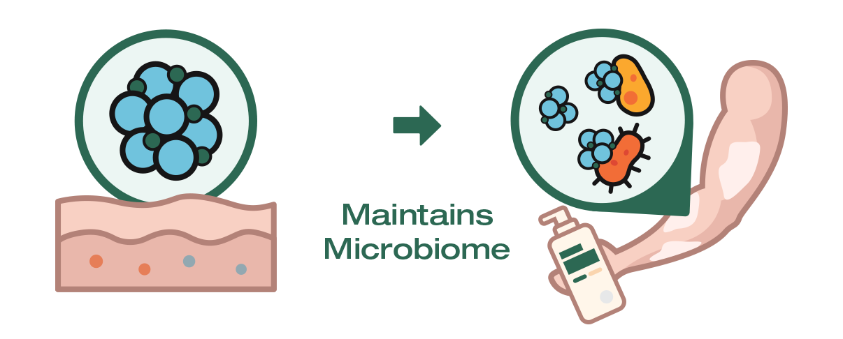 Diagram showing the importance of maintaining a microbiome with icons and text.
