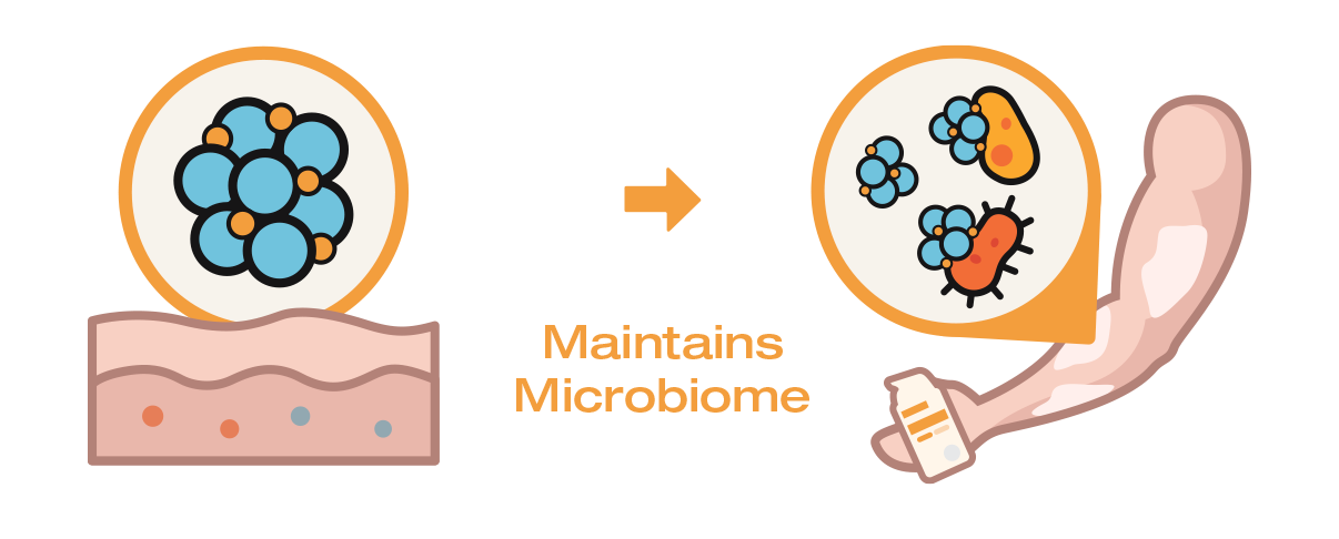 Illustration of a skin surface with microbiome icons and text indicating maintenance of the microbiome.