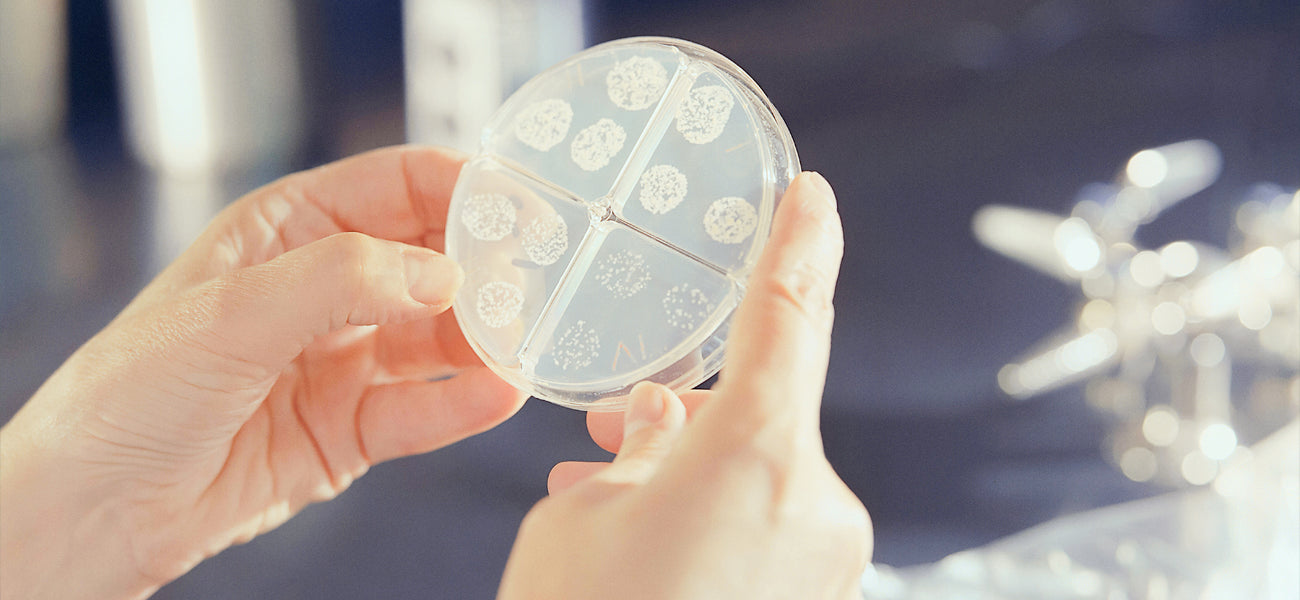 Person holding a petri dish with bacterial culture colonies against a blurred background