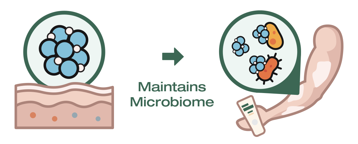 Illustration of anitch skincare product maintaining a healthy microbiome on skin.