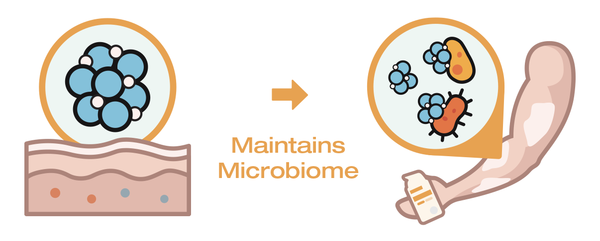 Illustration of anitch skincare product maintaining a healthy microbiome on skin.