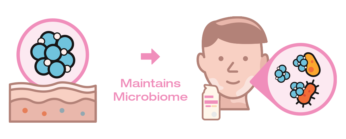 Diagram showing the importance of maintaining a microbiome on skin 
