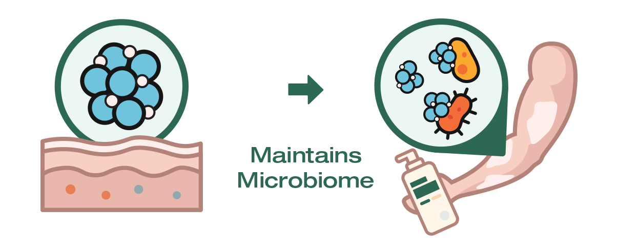Diagram showing the importance of maintaining a microbiome with icons and text.