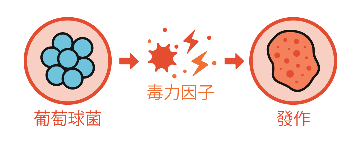 Illustration of anitch skincare product maintaining a healthy microbiome on skin.