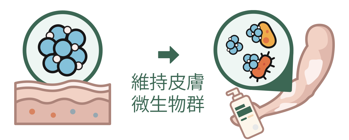 Illustration of anitch skincare product maintaining a healthy microbiome on skin.