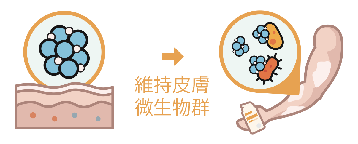 Illustration of anitch skincare product maintaining a healthy microbiome on skin.